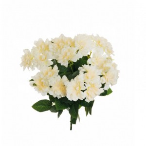 ROSE BUSH floribunda X7 H40 - cream *