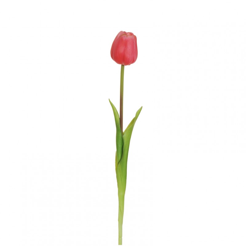 Tulipano rubber h46cm tu-fucsia*