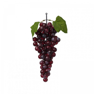 UVA GRAPPOLO H29 frutto - purple