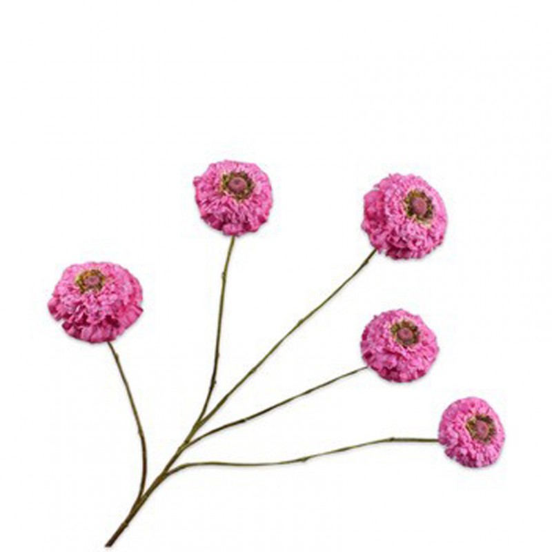 Zinnia h91cm si - lavender