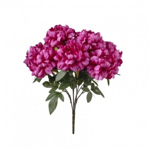 PEONIA mazzo H50 PE - beauty*