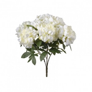 PEONIA mazzo H50 PE - cream*