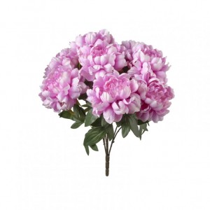 PEONIA mazzo H50 PE - lavender*