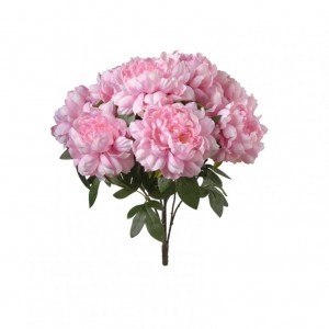 PEONIA mazzo H50 PE - pink*