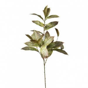 FOGLIE PHOTINIA ramo H26 FO - green *