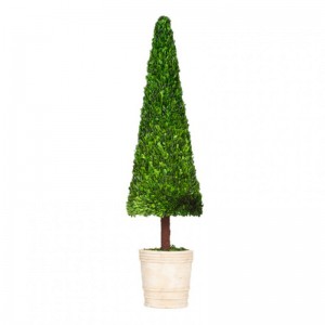 ALBERO BOSSO STABILIZ.D45 H150 C/VASO