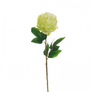 PEONIA X1 H67 cm PE -green *