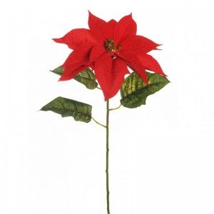 POINSETTIA velluto D27 H80 FN - red