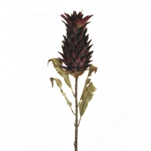 ANANAS PROTEA dry look H82 AU-burgundy*