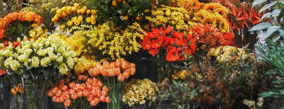Fiori e piante artificiali: Ingrosso fiori artificiali, Vendita piante  artificiali, Piante grasse finte, Piante artificiali da esterno
