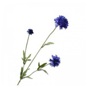 FIORDALISO H65cm SI - lavender