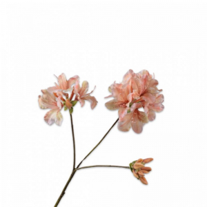 RODODENDRO SPRAY H82cm SI - peach