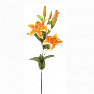 LILLY SPRAY X5 87cm LI -arancio *