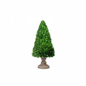 ALBERO BOSSO STABILIZ.D20 H50 C/VASO