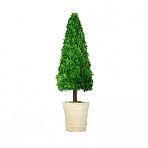 ALBERO BOSSO STABILIZ.D30 H110 C/VASO