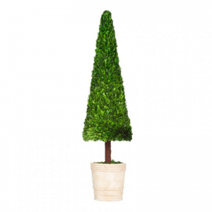 ALBERO BOSSO STABILIZ.D45 H150 C/VASO