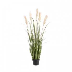 PIANTA ERBA PAMPAS H130 cm PN *