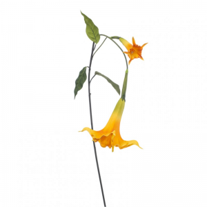 DATURA X2 H130cm DA - yellow*