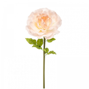 ROSA GIANT H115cm RO - peach*