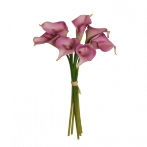 CALLA MAZZO X7 H34 cm CA - lilac*