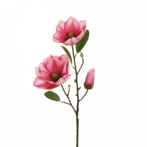 MAGNOLIA RAMO X3 H54 MA- mauve fucsia*