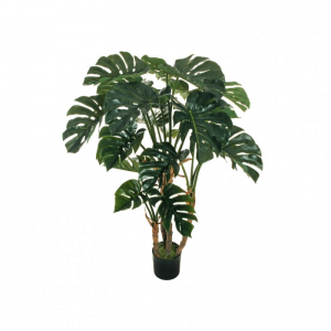 PIANTA MONSTERA c/vaso H140 - green*