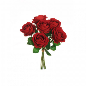 ROSE BUSH BRIDAL X6 H30 cm RO -red*