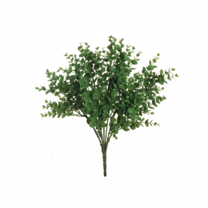 EUCALIPTO BUSH X7 H42 BU - green *