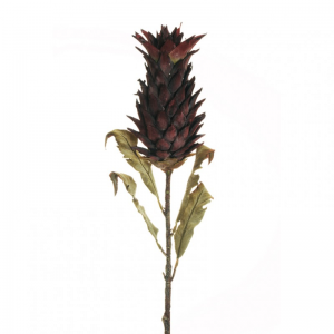 ANANAS PROTEA dry look H82 AU-burgundy*