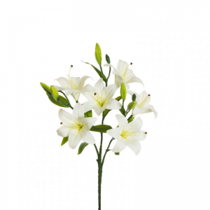 GIGLIO TIGRATO BUSH X3 H60 - white*