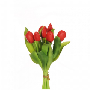 TULIPANO X7 H32 TU - red *