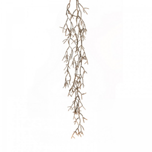 RHIPSALIS BACCIFERA X3 H152 CD - brown*