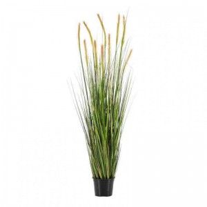 PIANTA ERBA FOXTAIL H150 cm PN *