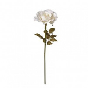 ROSA ramo H110 RO - cream